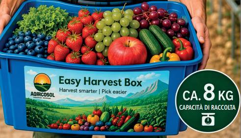 Easy Harvest Box